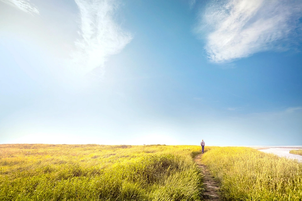 Environmental Sustainability Framework