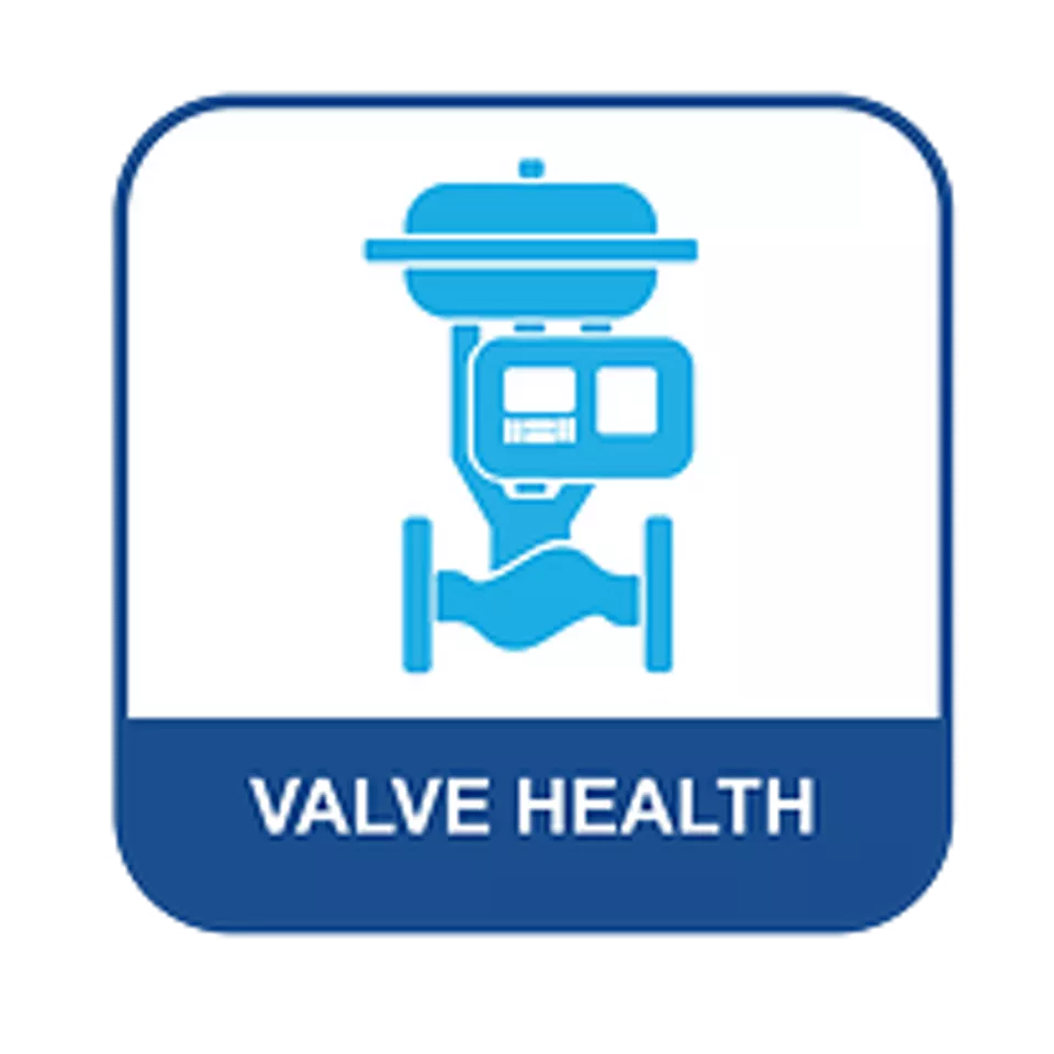 Application Valve Health Plantweb Insight™