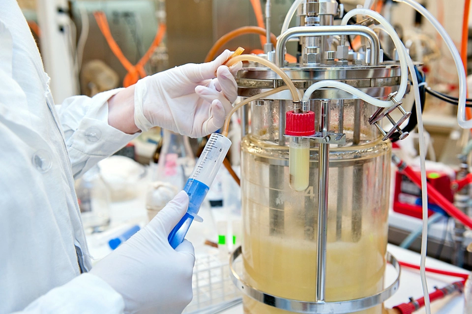 Taking sample from biotechnological bioreactor in microbiological laboratory.