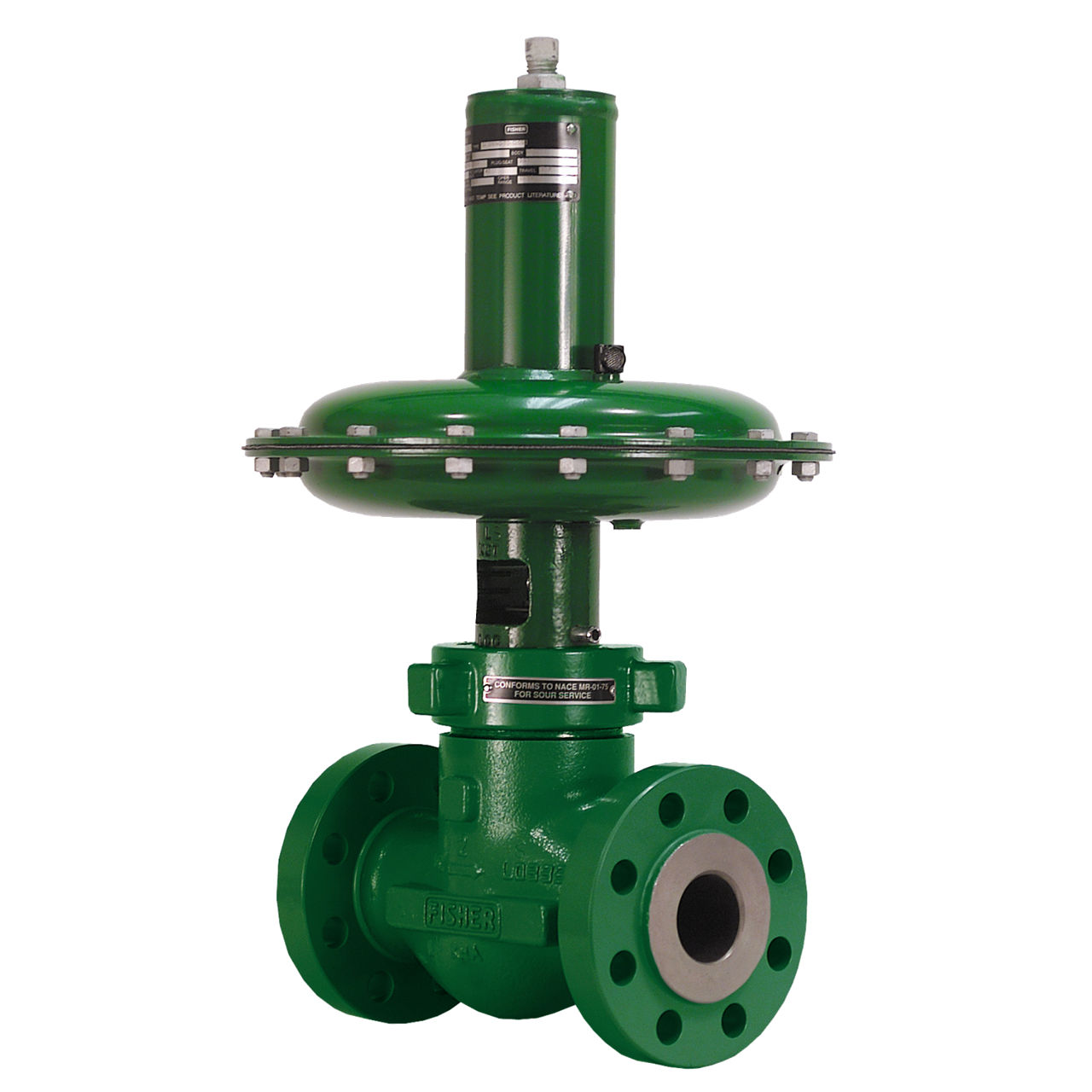 emerson fisher valve accessories Fisher™ D4 Control Valve - Final Control