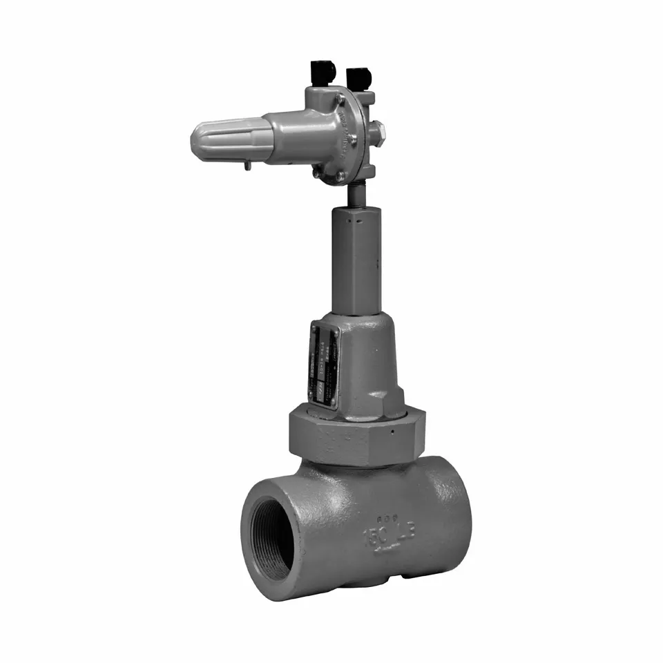 Fisher™ 6365 and 6358 Series Pilots - Final Control | Emerson