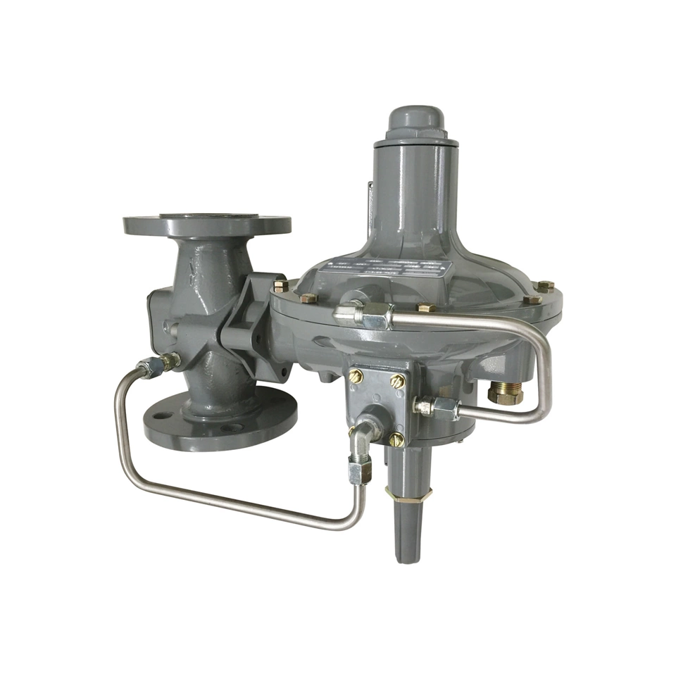 Druckminderer der Serie 299D von Fisher™