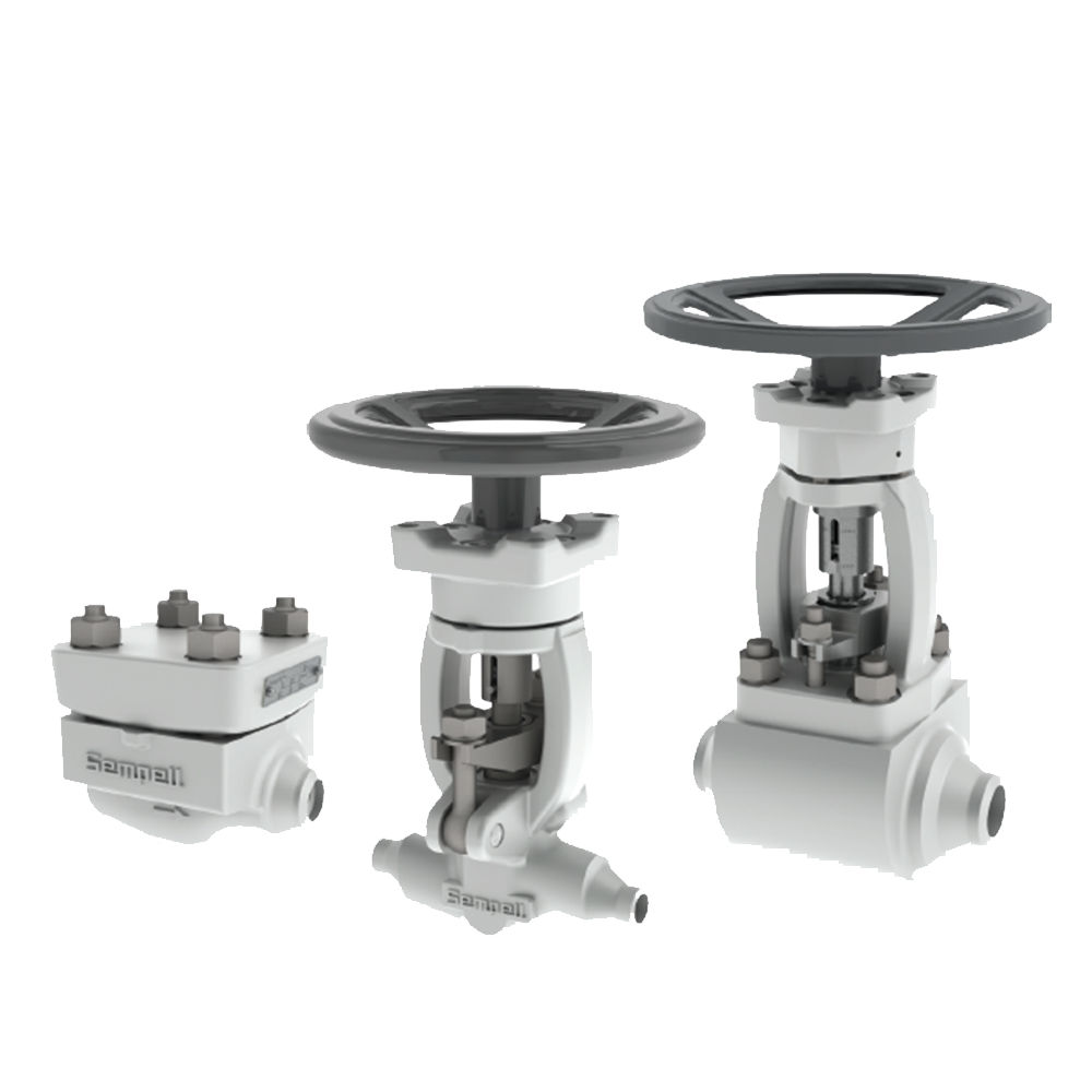Sempell Nuclear Model NICO 4000 High Pressure Stop and Check valves ...