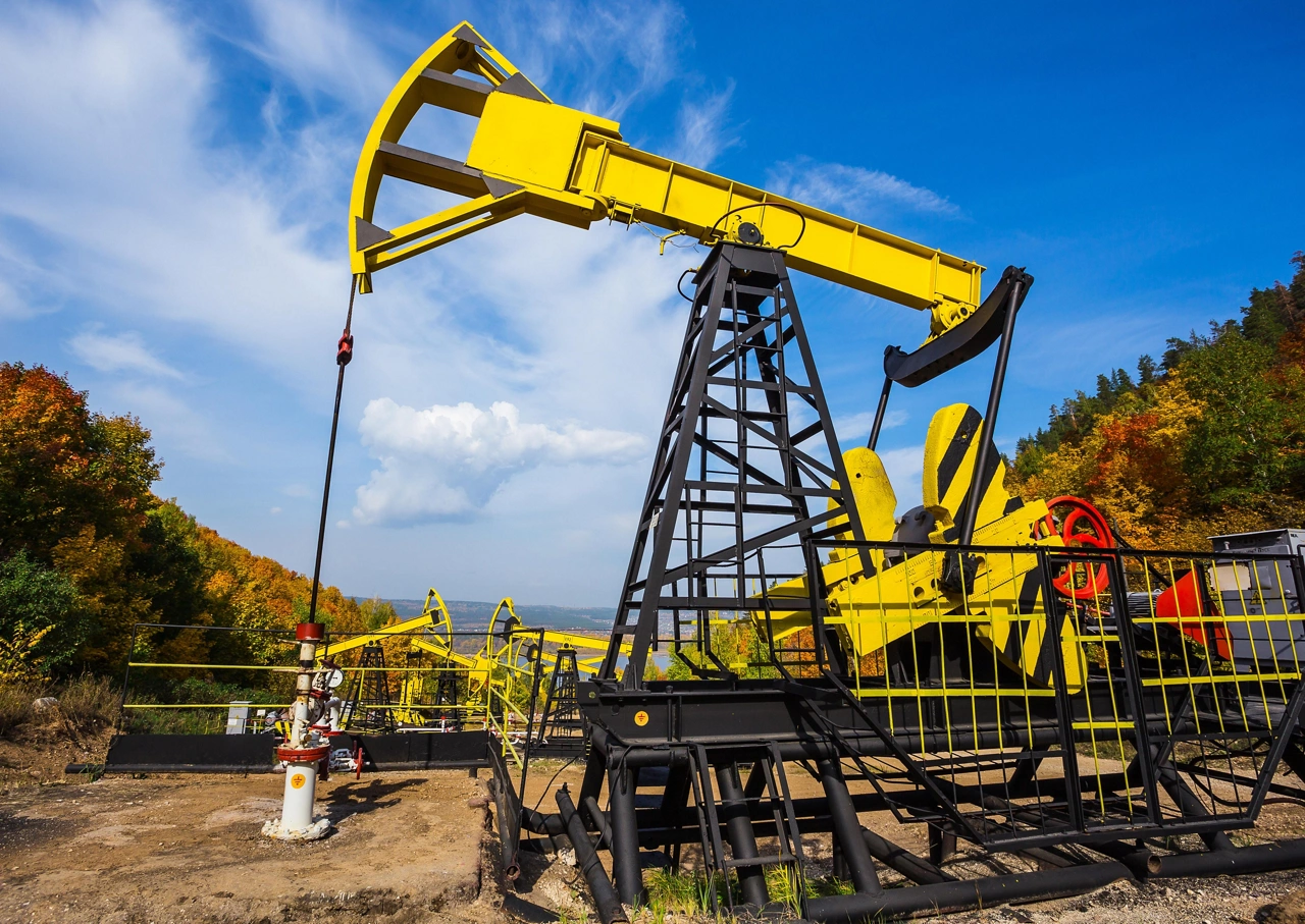 Oil Pump on a background of forest in Russia