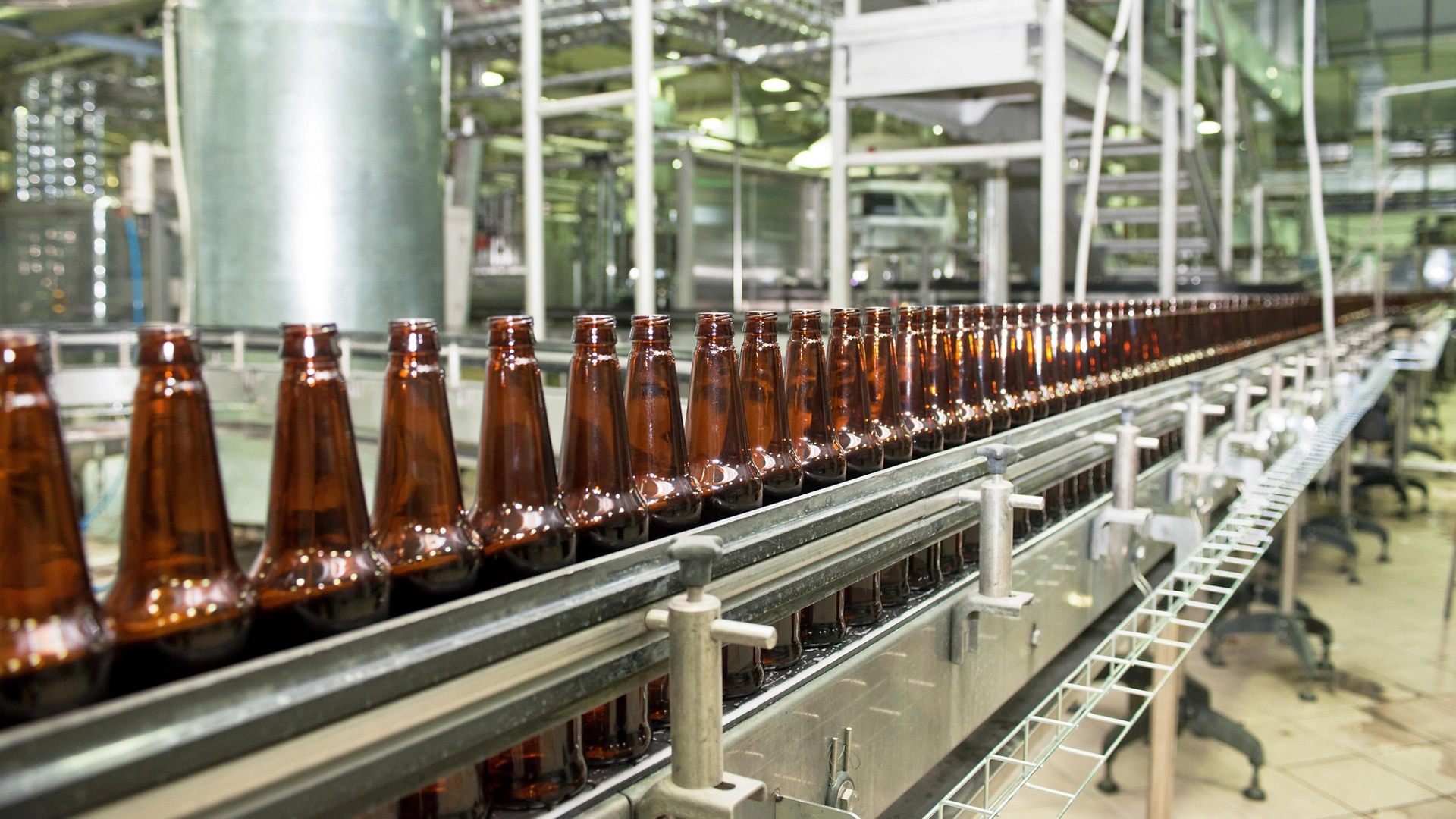 Real Time Monitoring of Fermentation