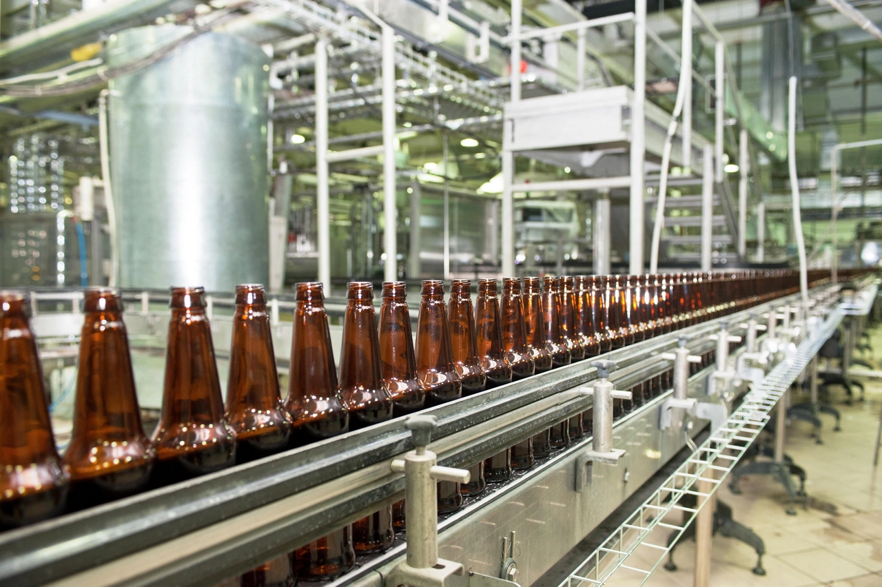 Real Time Monitoring of Fermentation