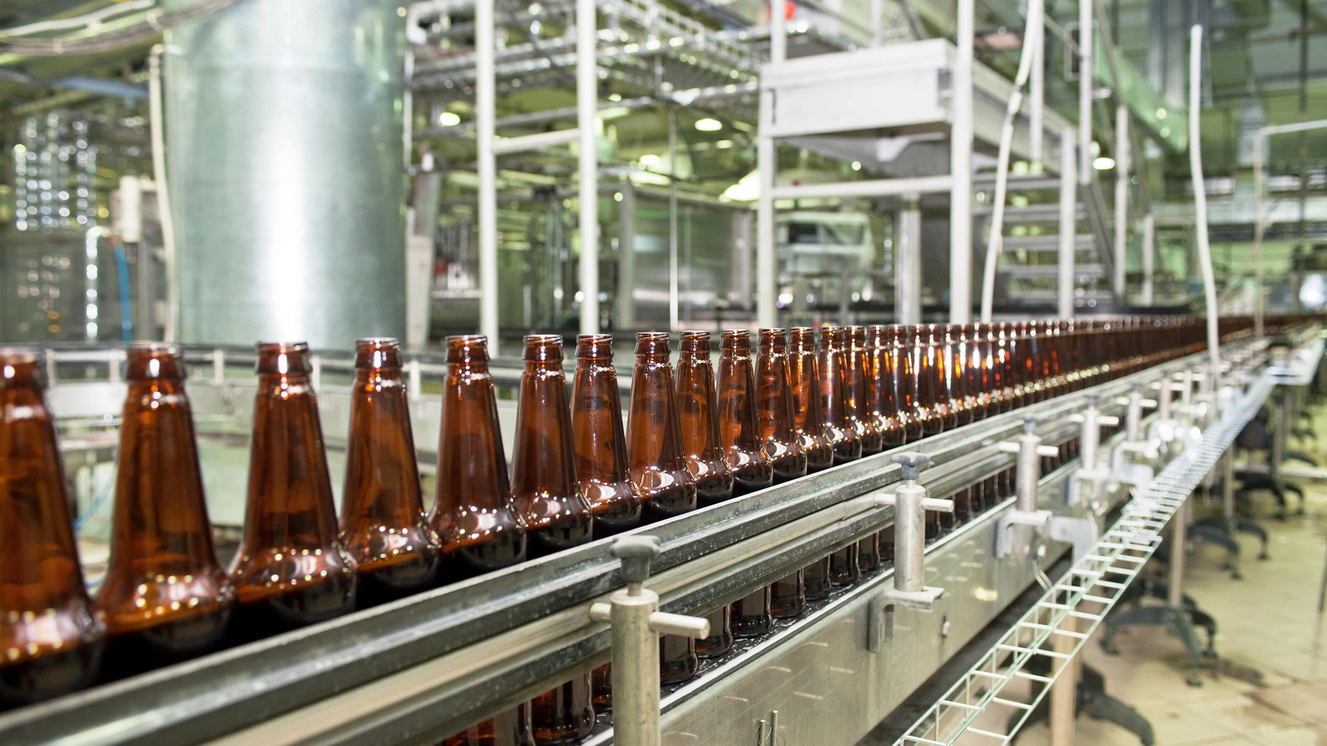 Beer bottles on the conveyor belt 