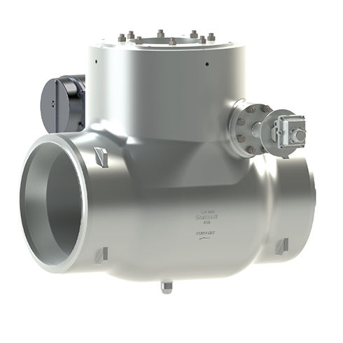 Sempell Model 802 Swing Check Valve with Power Assist - 밸브 및 액추에이터 ...