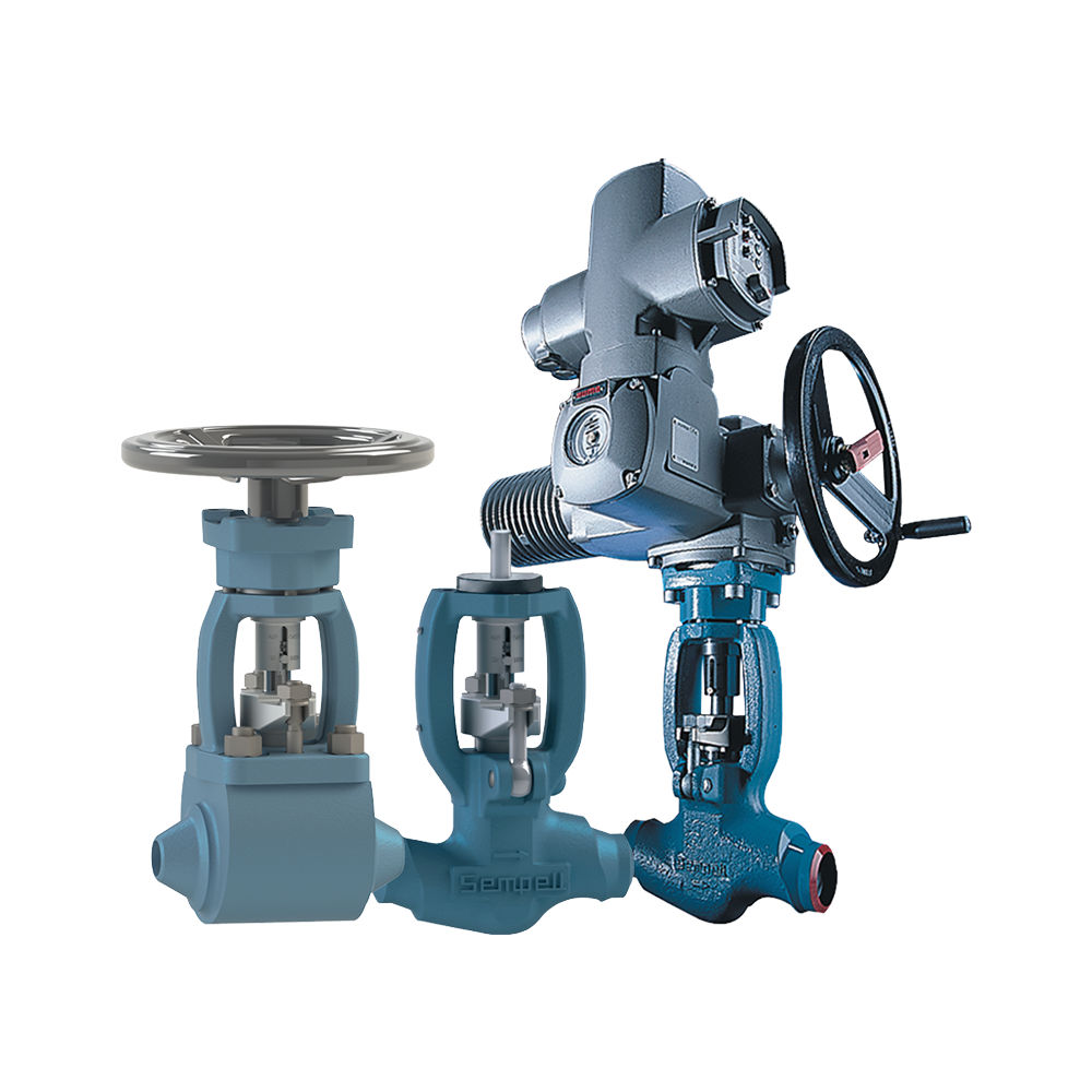 Sempell Model VA500 High Pressure Small Bore Globe Valves - 最終制御 | Emerson