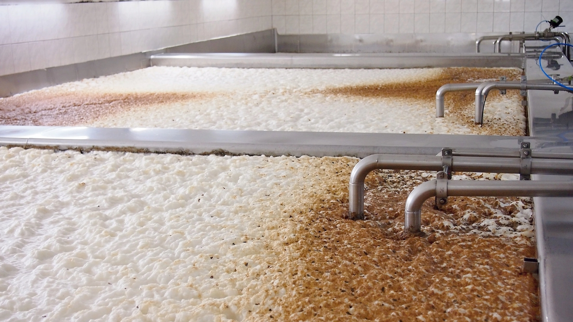 Fermenting of a beer in an open fermenters in a brewery.