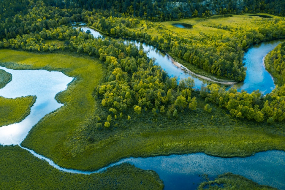 How Emerson’s Sustainability Advocates Drive Customer Impact: Meet Rada Petrovan