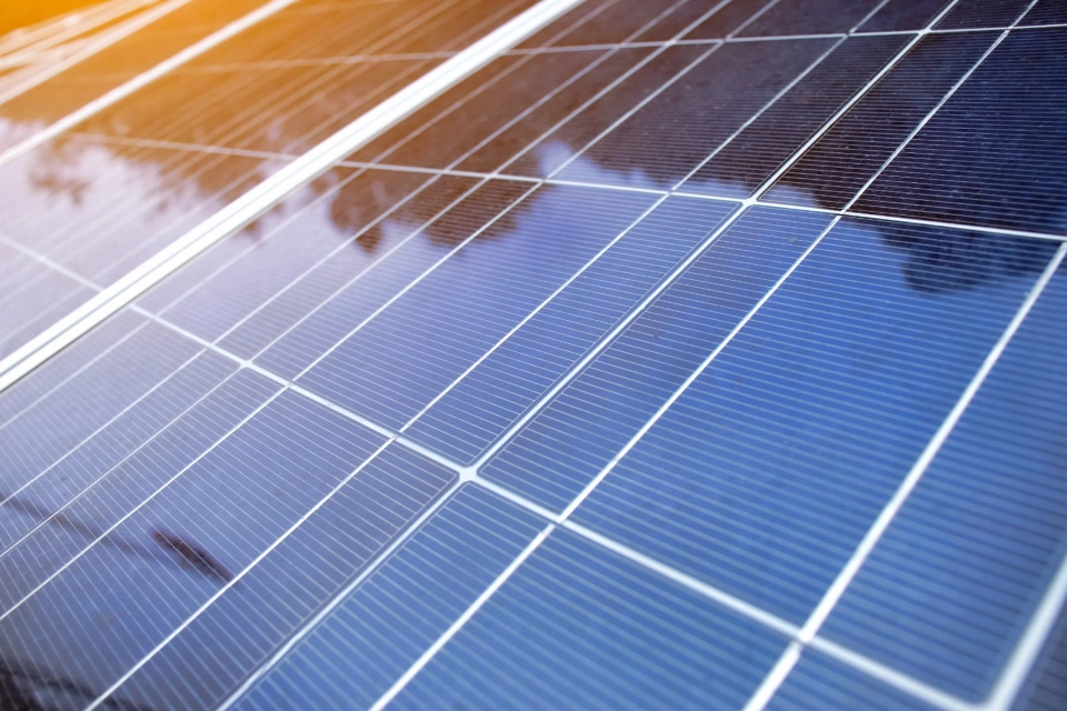 Emerson Sustainability and Decarbonization: Turning Corporate Goals Into Climate Action