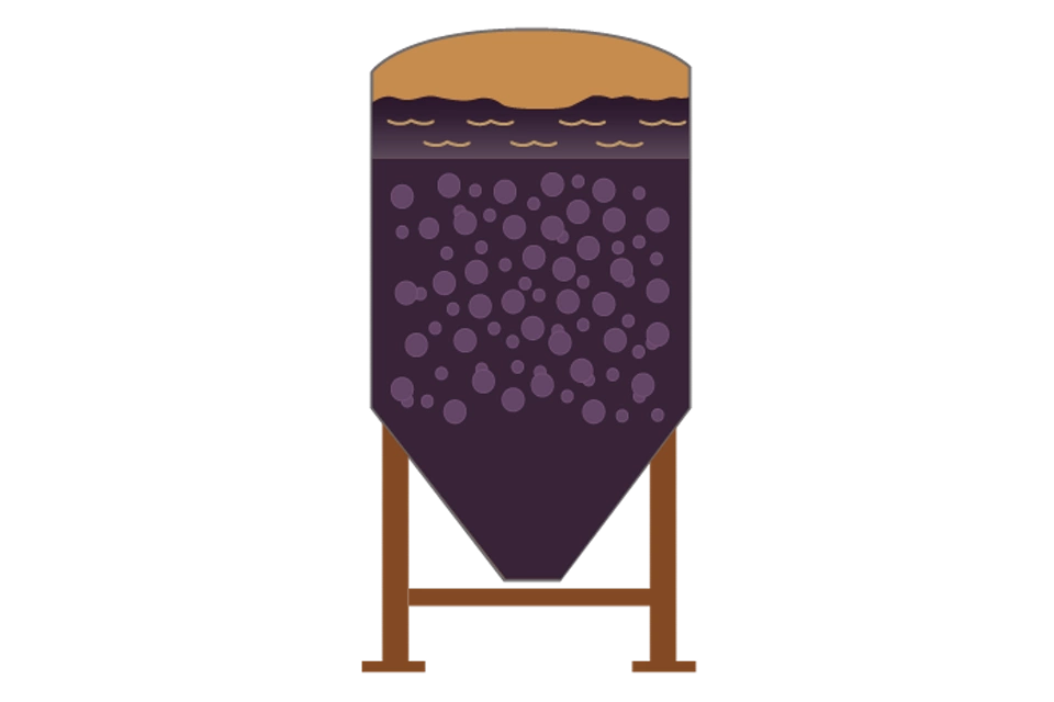 Instruments de mesure pour la fermentation dans la vinification