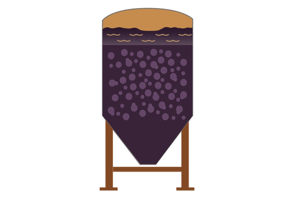 Instrumentos de medición para la fermentación en la elaboración de vino