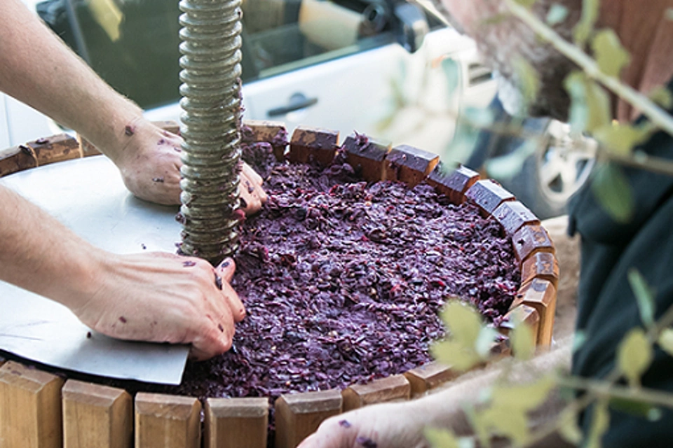 Strumentazione di misura per la pressatura nel settore vitivinicolo