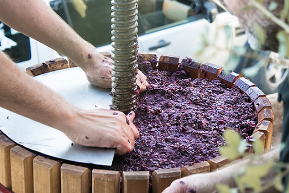 Instrumentos de medición para el prensado en la elaboración de vino