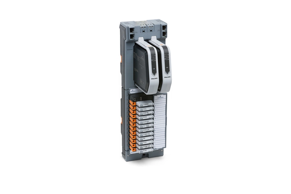 DeltaV Electronic Marshalling