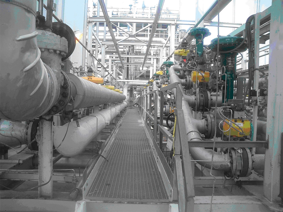 Fisher angle valves