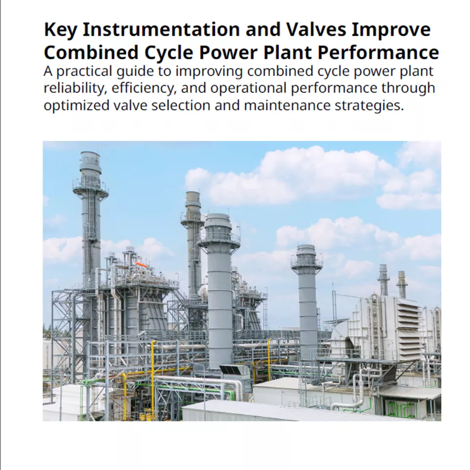 CCPP EU White Paper