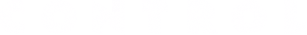 Logo Control Global
