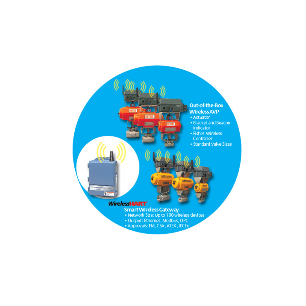 Valve Operating System | Emerson SG