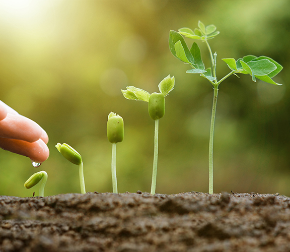 Energy and Environmental Conservation