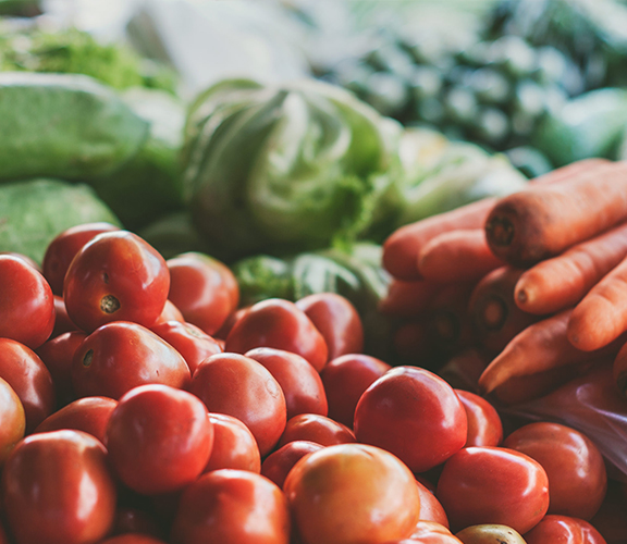 Food Quality and Sustainability