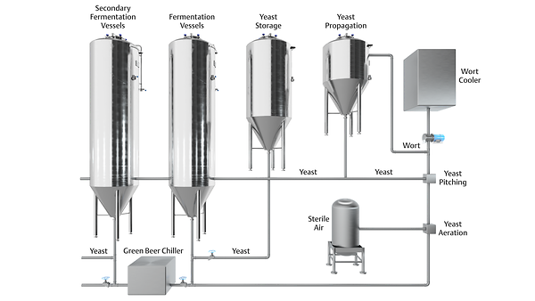 Level Measurement in Fermentation